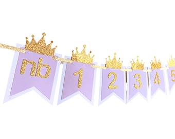 Purple and Gold Months Banner. Newborn to 12 Photo Months Banner. Princess birthday party decor