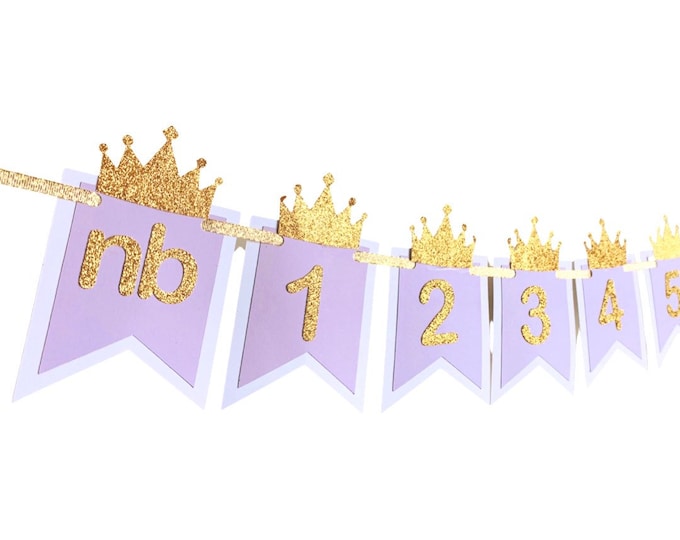 Purple and Gold Months Banner. Newborn to 12 Photo Months Banner. Princess birthday party decor