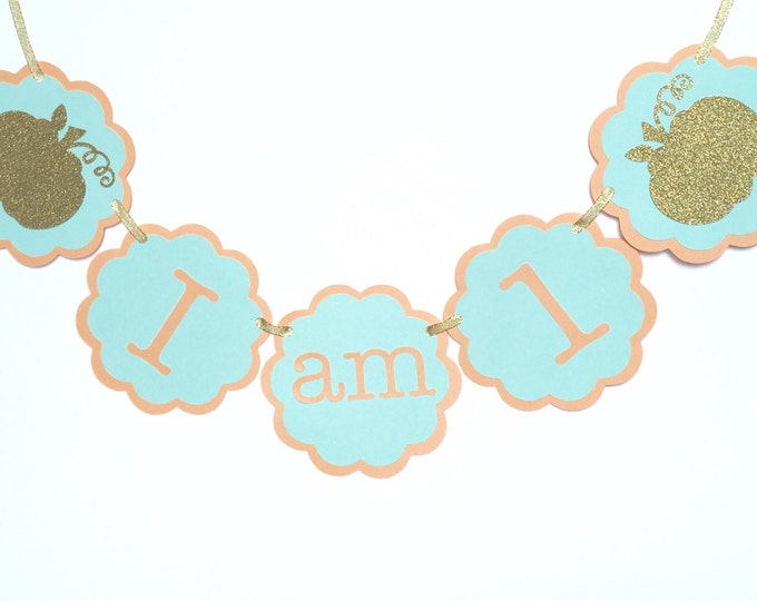 Little Pumpkin Birthday Banner, I am 1 highchair banner, first birthday decor, first birthday banner, pumpkin birthday