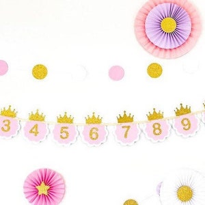 Pink and Gold Months Banner. Newborn to 12 Photo Months Banner. Princess birthday party decor image 3