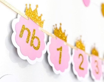 Pink and Gold Months Banner. Newborn to 12 Photo Months Banner. Princess birthday party decor