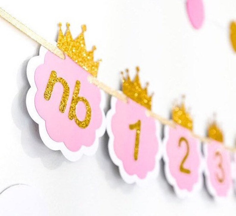 Pink and Gold Months Banner. Newborn to 12 Photo Months Banner. Princess birthday party decor image 1