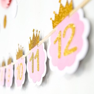 Pink and Gold Months Banner. Newborn to 12 Photo Months Banner. Princess birthday party decor image 2
