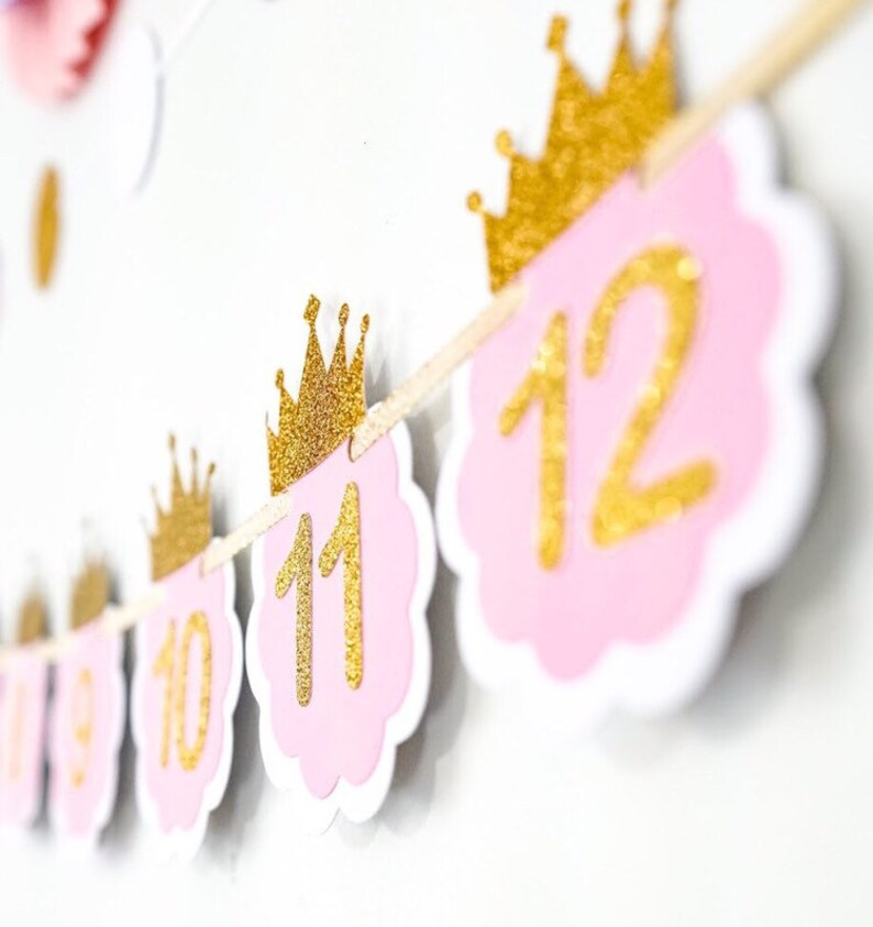 Pink and Gold Months Banner. Newborn to 12 Photo Months Banner. Princess birthday party decor image 2