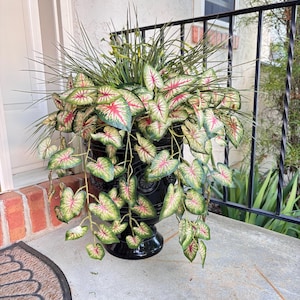 May include: A black ceramic planter with a decorative design, filled with green and pink leafy plants. The planter is sitting on a concrete porch with a brown doormat.