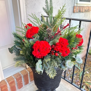 May include: A black urn planter filled with red flowers and green foliage. The planter is decorated with pine cones and red berries.