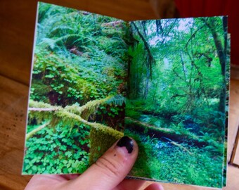 PNW zine - the bog original handmade photography zine pacific north west lover oregon washington olympic national park forest