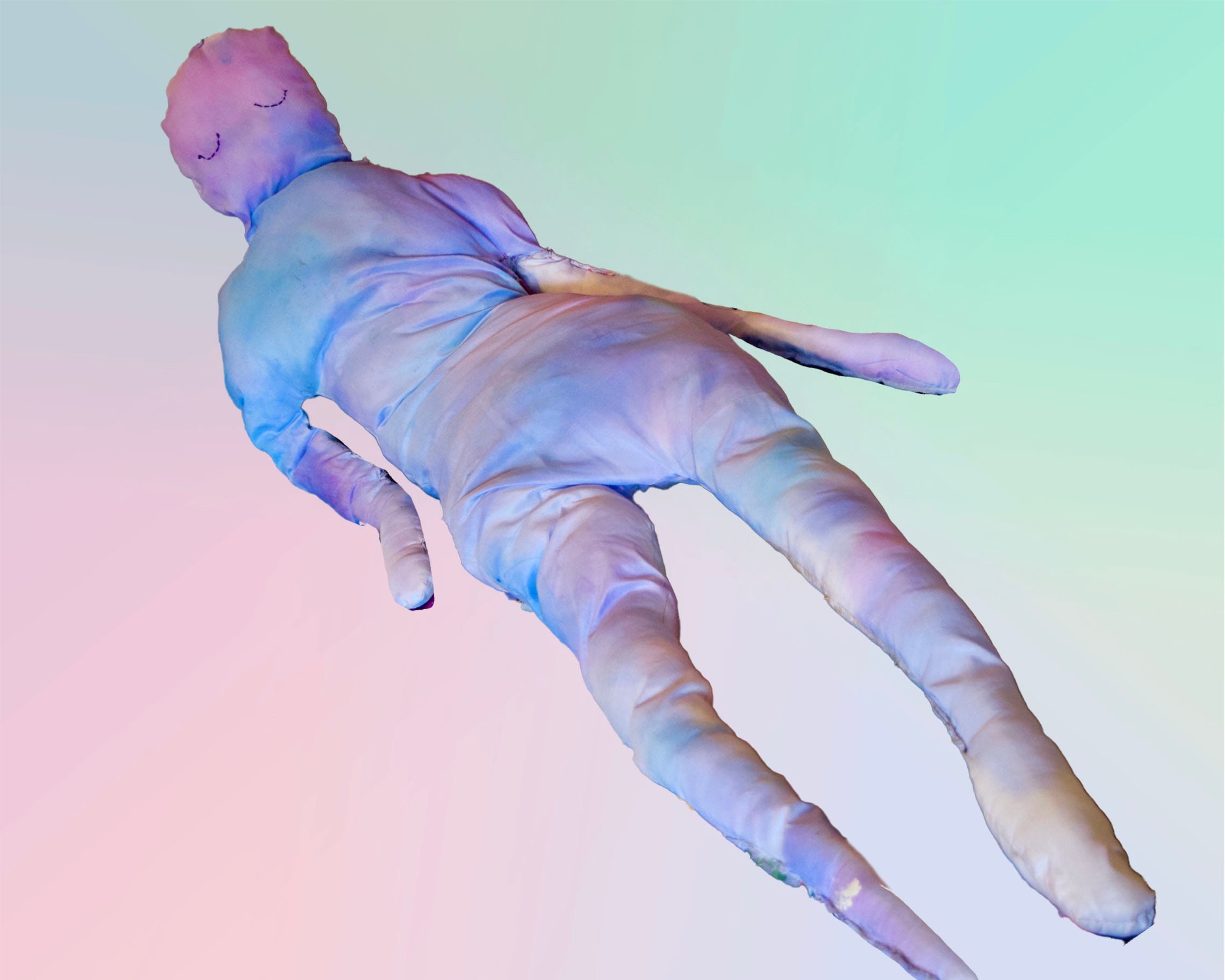 Body pillow life size sleepy character custom colors made to Etsy