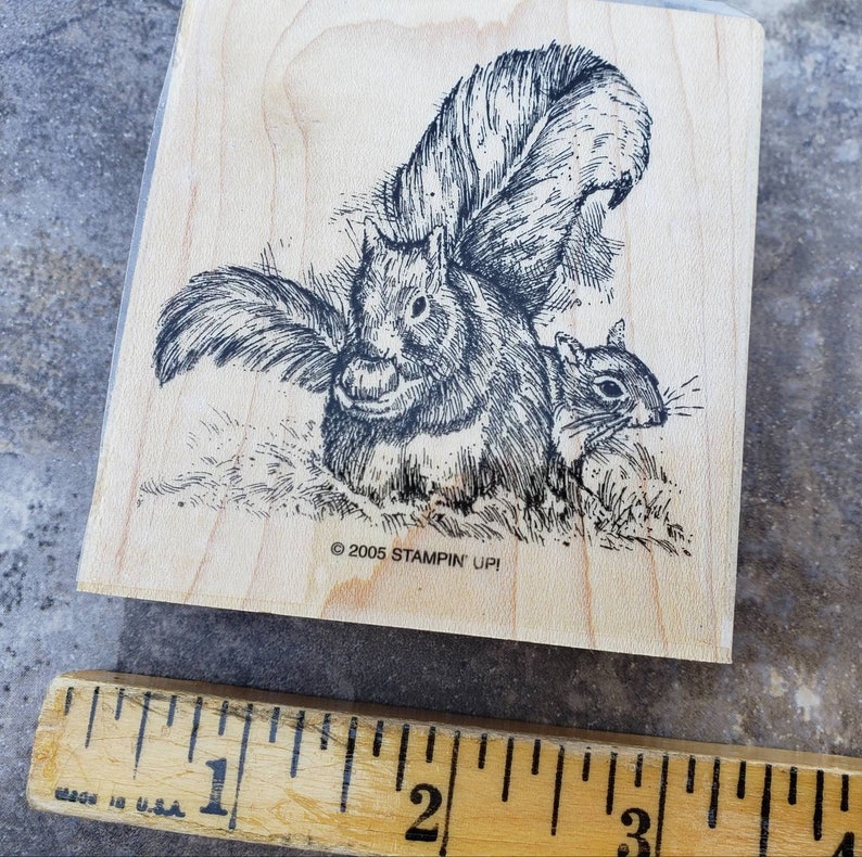 Card Making Set of 4 Stampin Up 2005 FOREST FRIENDS Wood Mounted Rubber Stamps Bunny Rabbits Birds Squirrels Branches