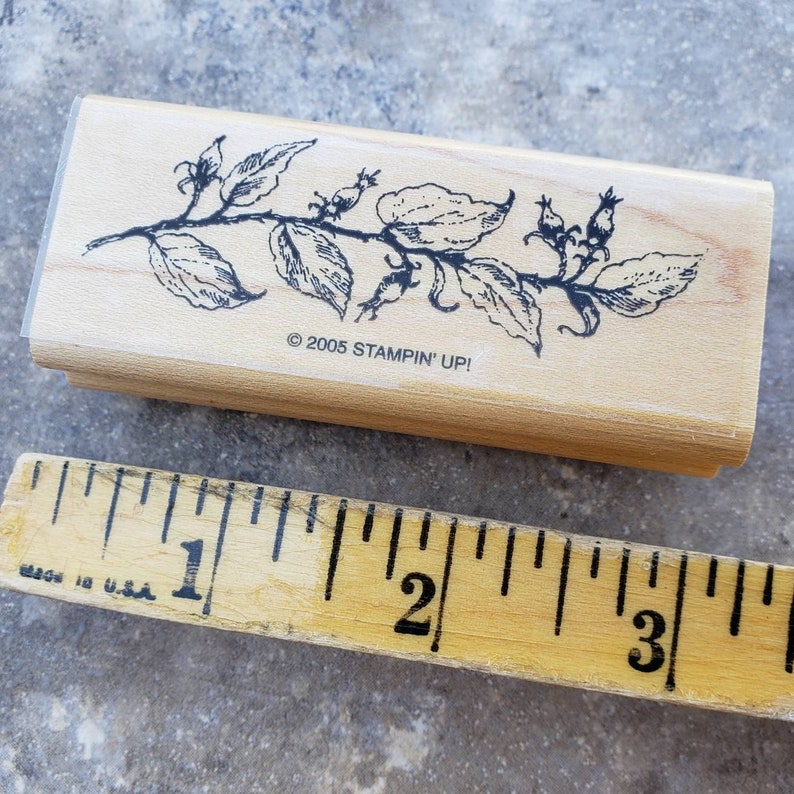 Card Making Set of 4 Stampin Up 2005 FOREST FRIENDS Wood Mounted Rubber Stamps Bunny Rabbits Birds Squirrels Branches