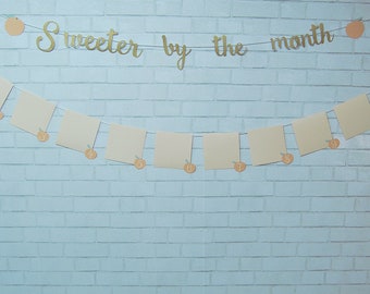 Sweeter By The Month Peach Photo Banner, Sweet As A Peach Monthly Photo Banner, Sweet As A Peach, Custom Parties by PartyAtYourDoor on Etsy