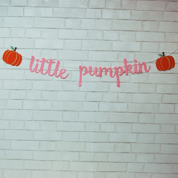 Little Pumpkin Banner, Little Pumpkin Birthday Banner, Little Pumpkin Birthday Decoration, Custom Parties by PartyAtYourDoor on Etsy