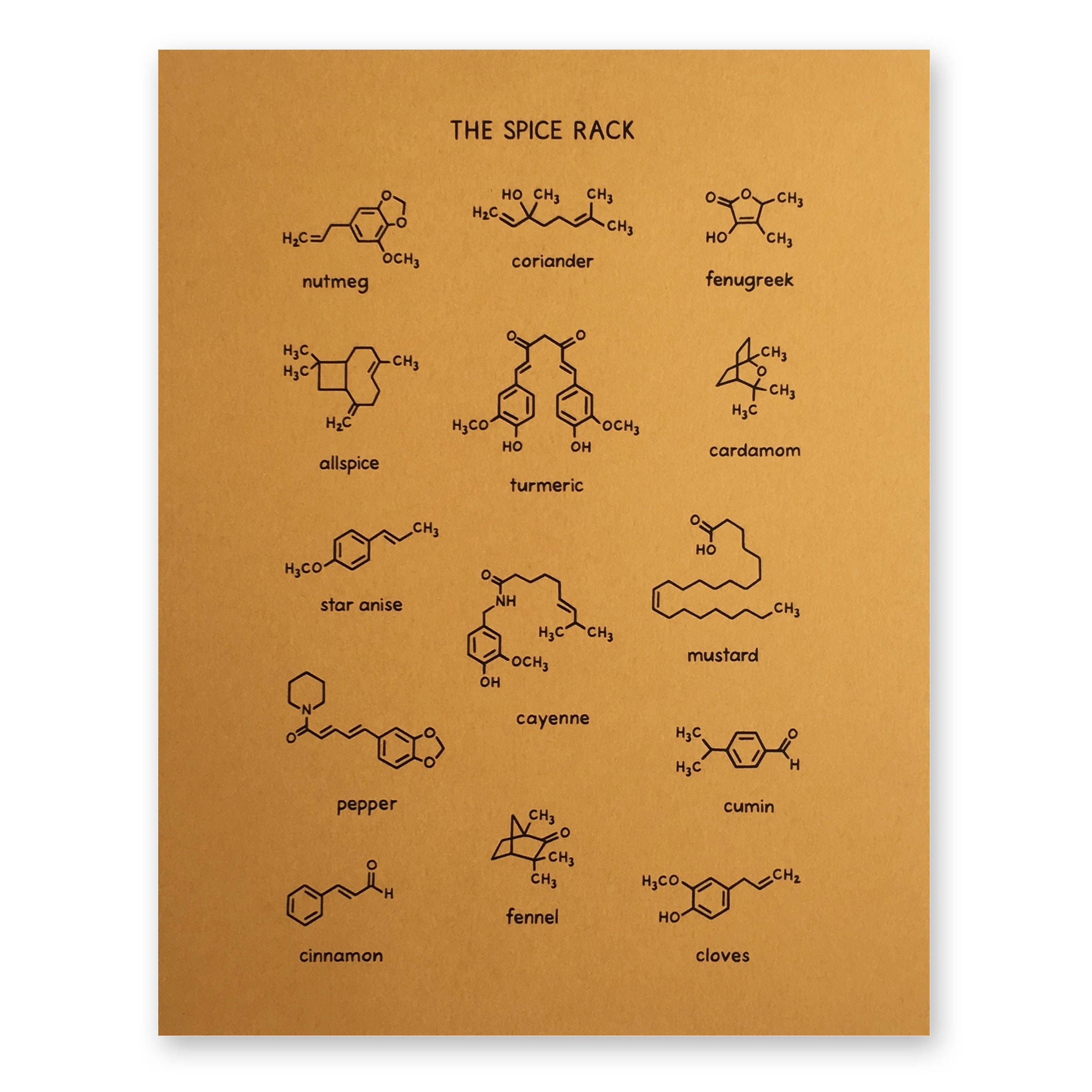 Chemistry Spice Rack Poster 8x10 Inches Unframed Science Molecules Food Scientist Foodie Chef Cook Cafe Kitchen Restaurant Decor Nerd Etsy UK