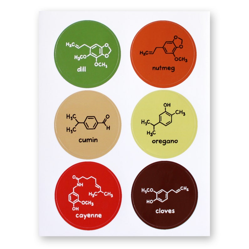 Chemistry Spice Labels Jar Stickers Food Science Herbs Spices 36 Waterproof Stickers Nerd Geek Chef Cook Kitchen House Decor Teacher image 4