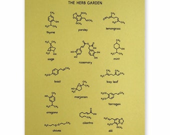 Herb Garden Poster | 8x10 inches unframed | Science Chemistry Molecules Kitchen Decor Print | Foodie Chef Cook Gardener Nerd Food Scientist