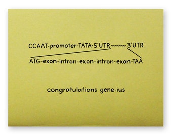 Biology Graduation Card | Genetics Congratulations Genius Pun Geneius DNA gene RNA Biochemistry Science Scientist Nerd Chemistry Scientific
