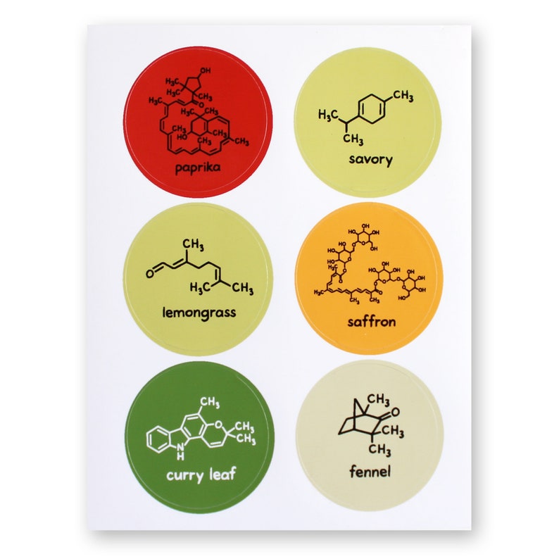 Chemistry Spice Labels Jar Stickers Food Science Herbs Spices 36 Waterproof Stickers Nerd Geek Chef Cook Kitchen House Decor Teacher image 3