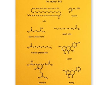 Honey Bee Insect Chemistry Poster 8x10 inch Science entomology bee keeper apiary farmer animal biology ecology entomologist apiarist