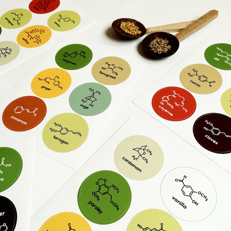 Chemistry Spice Labels Jar Stickers Food Science Herbs Spices 36 Waterproof Stickers Nerd Geek Chef Cook Kitchen House Decor Teacher image 1