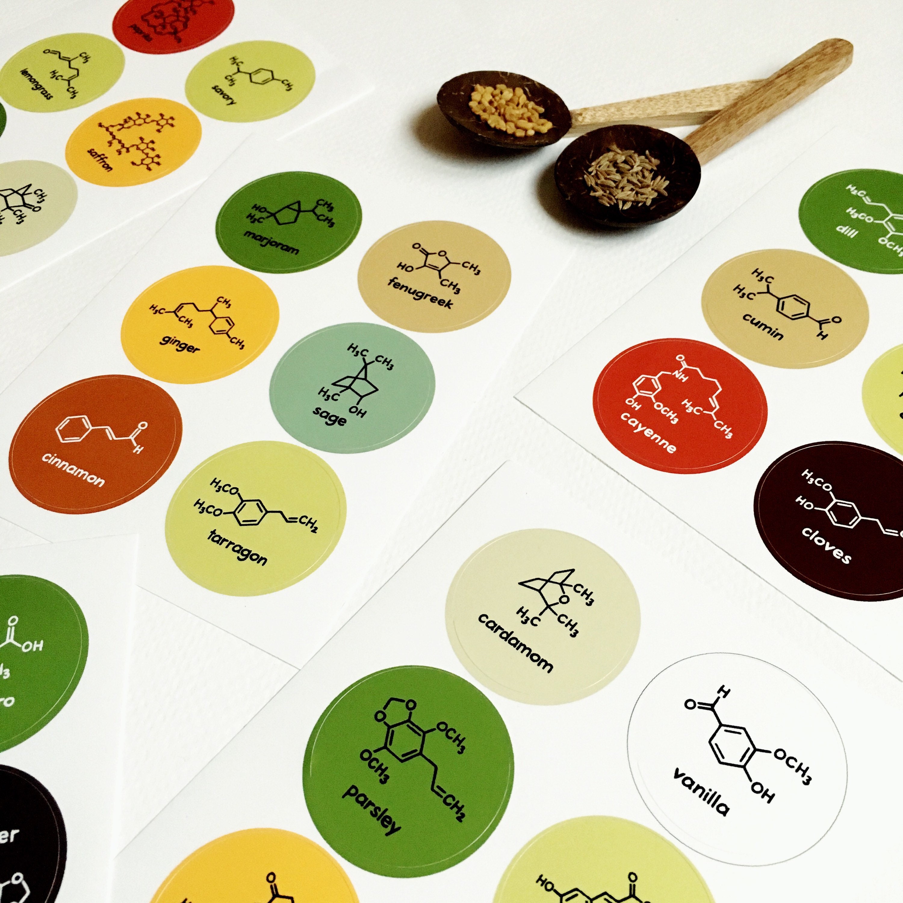 Royal Green - 30 Common Spice Names Stickers with Black Lettering + 18 Blank Round Labels for DIY - 48 Pack