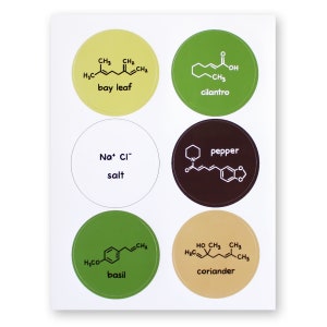 Chemistry Spice Labels Jar Stickers Food Science Herbs Spices 36 Waterproof Stickers Nerd Geek Chef Cook Kitchen House Decor Teacher image 5