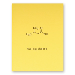 Carte de graduation de fromage | Chimie Science Nerd Geek Foodie Chimiste Alimentaire Nutrition Diététicien Cheesy Boss Diplômé Biochimie Molécule Cheddar