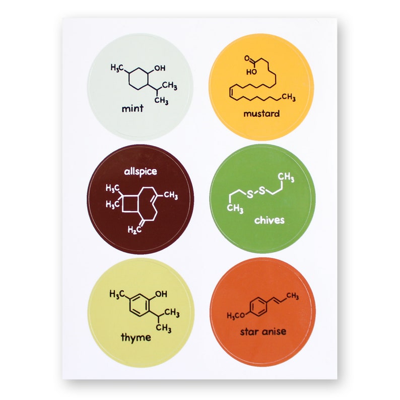 Chemistry Spice Labels Jar Stickers Food Science Herbs Spices 36 Waterproof Stickers Nerd Geek Chef Cook Kitchen House Decor Teacher image 7