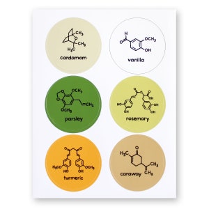 Chemistry Spice Labels Jar Stickers Food Science Herbs Spices 36 Waterproof Stickers Nerd Geek Chef Cook Kitchen House Decor Teacher image 8
