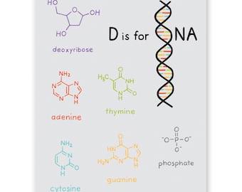 DNA Helix Genetics - D is for Dna Chemistry Poster 8x10 Inch DIGITAL DOWNLOAD Science Nerd Molecular Biology Biochemistry Teacher Scientist