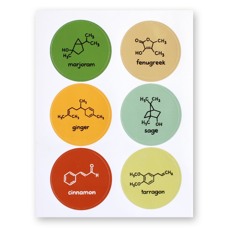 Chemistry Spice Labels Jar Stickers Food Science Herbs Spices 36 Waterproof Stickers Nerd Geek Chef Cook Kitchen House Decor Teacher image 6