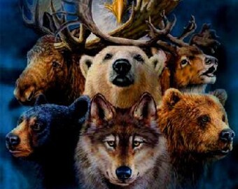 Animal Totem Medicine Card Reading ~Find your Spirit Animal & learn what they are trying to teach you