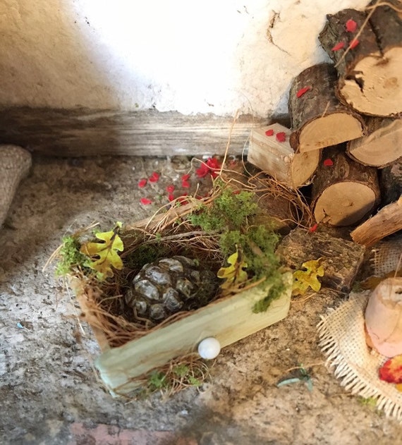 1:12 Scale Tortoises At Home With Food Dolls House Miniature Garden Accessory