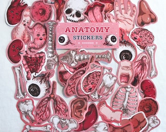 Anatomy STICKERS (35 pack)