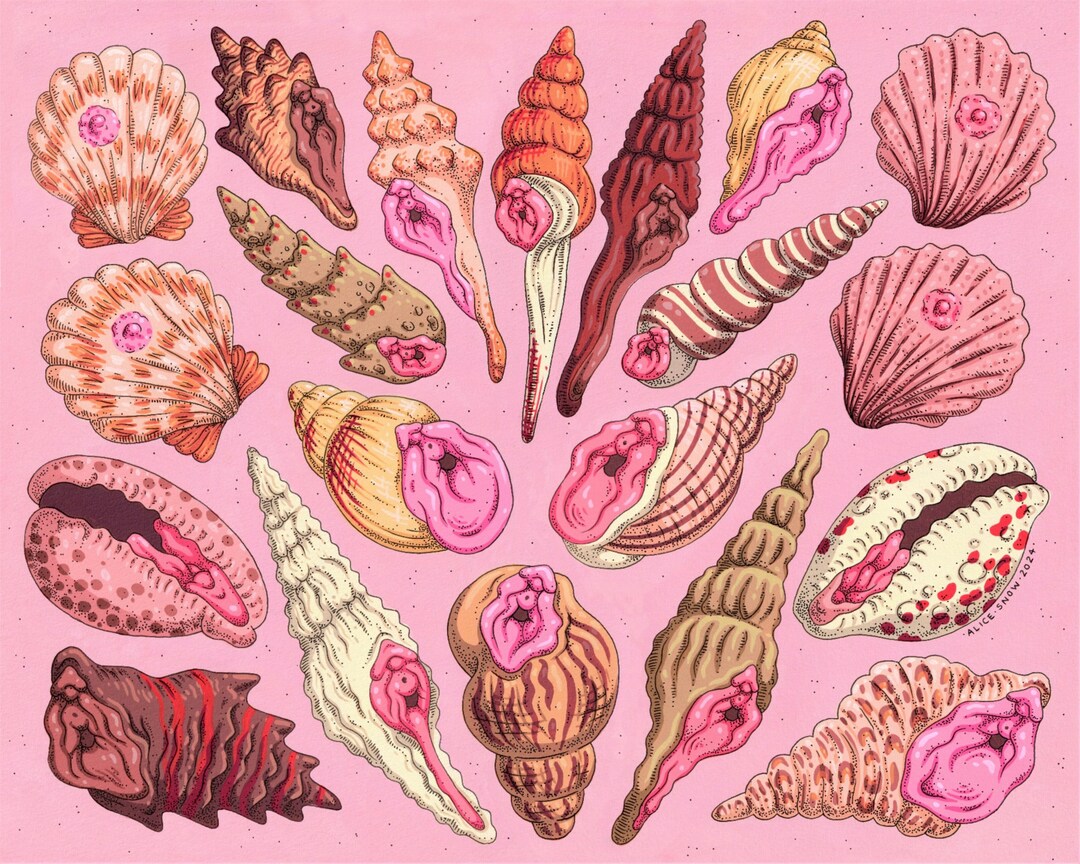 Siren Shells PRINTS - Etsy