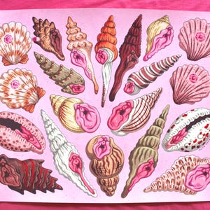 May include: A pink background with a collection of 18 illustrated seashells in various colors and patterns. The shells are arranged in a loose, organic pattern, with some overlapping.