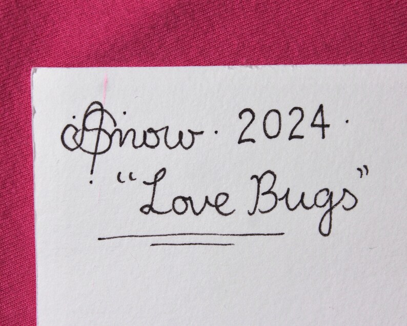 May include: A white card with black ink handwriting that says "Snow 2024" and "Love Bugs" with a double line underneath.