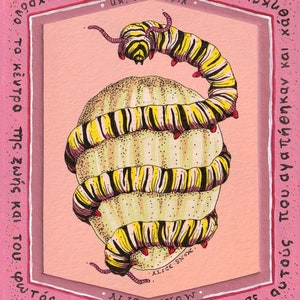 以下が含まれることがあります： 黄色と黒の縞模様の毛虫が、薄い黄色の黒い縞模様の卵に巻き付いている。毛虫は赤い斑点とピンクの頭をしている。画像はピンクの背景に、周りにギリシャ語のテキストが書かれている。テキストの内容は次のとおりです。「Alice Snow. To Kosmiko Avgo. Se Avtous Pou Agapithikan Kai Hathan Kade To Kentro Tis Zois Kai Tou Fotos. Chioni Aliki.」