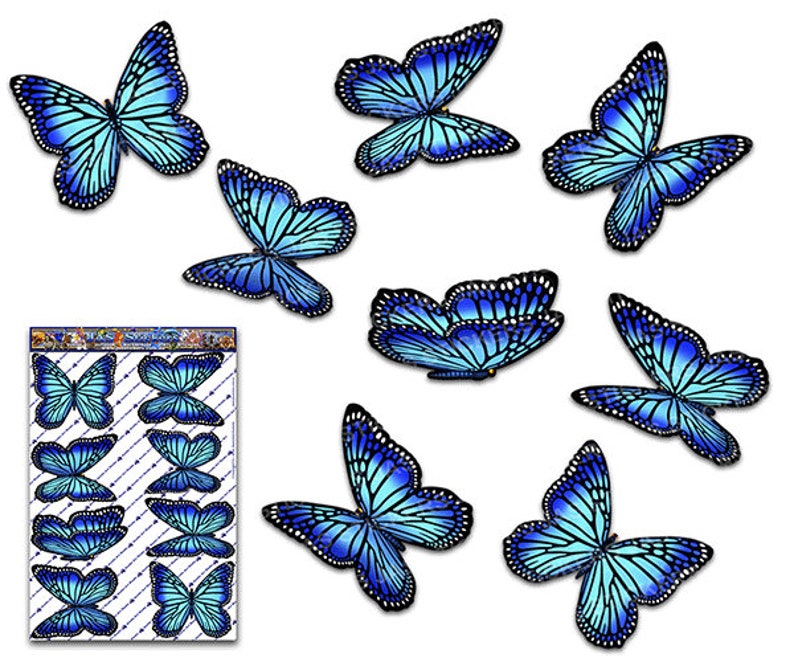 Download Blue Monarch BUTTERFLY ANIMAL Vinyl Sticker Decal Large ...
