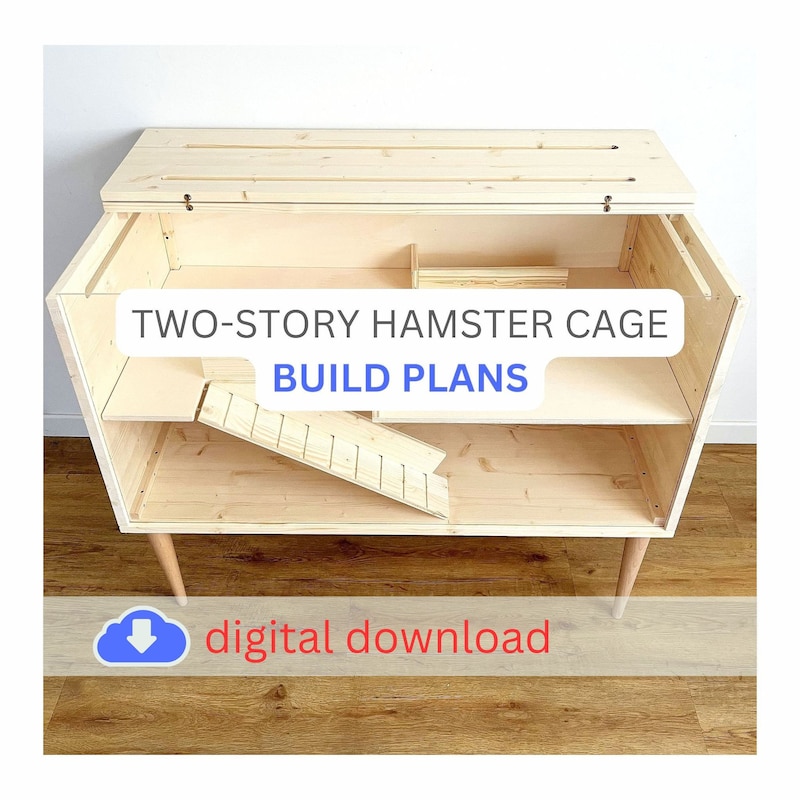 View of Hamster Cage - Etsy