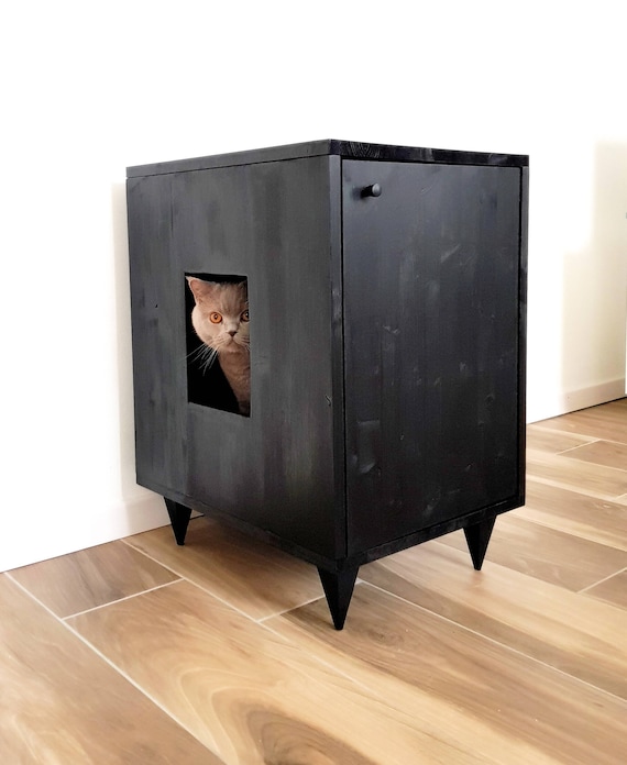 litter box in bathroom cabinet