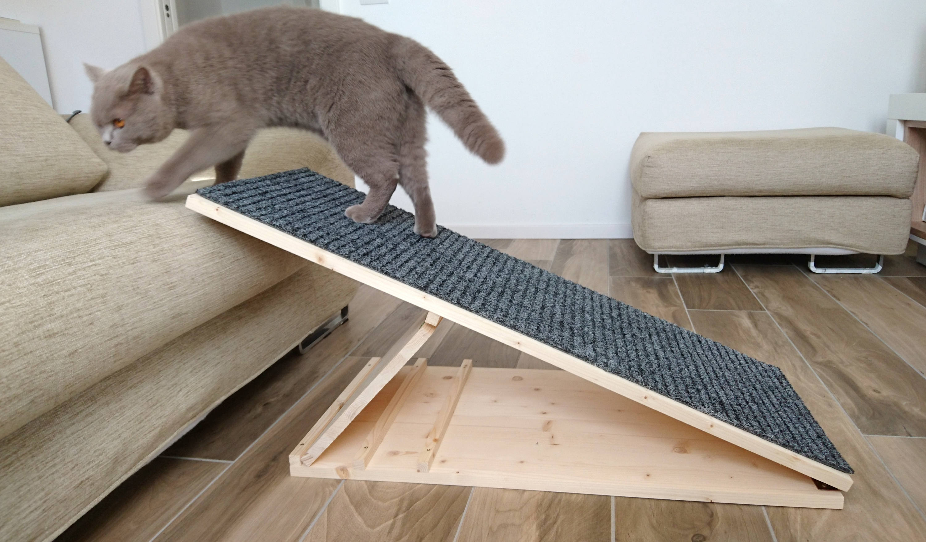 Dog Ramp Pet Ramp Portable Ramp for Your Pet With Adjustable Etsy Canada