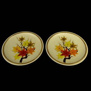 Mikasa Imperial Maple Salad Plates
