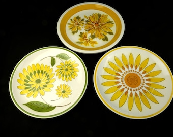 Mikasa Cera-stone Daybreak, Tampa, and Sunburst Dinner Plates