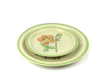 Quasar Poppy Dinner and Salad Plates