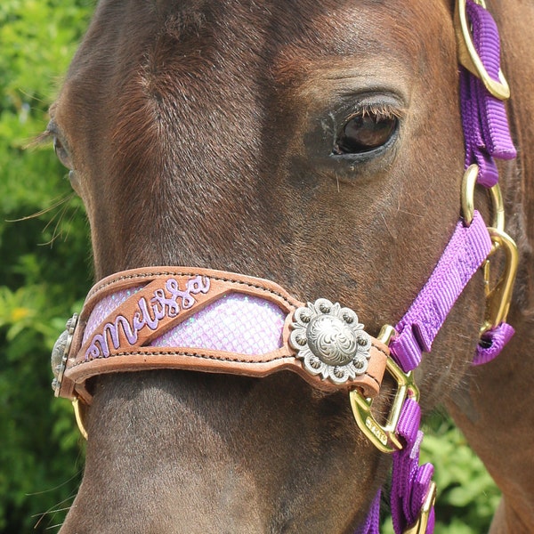 Custom Background or Tooled Custom Bronc Noseband - Horse or Pony Sized