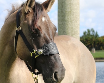 Hand Tooled Floral Leather Bronc Noseband with Nylon Halter