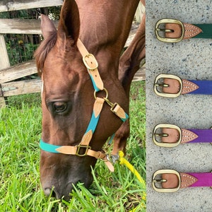 Cotton and Leather Halter with Throatlatch Clip - By RF Tack