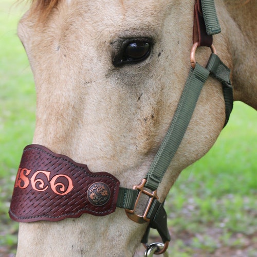 Horse Tack Set With Bitless Bridle....small Pony Cob Horse Etsy
