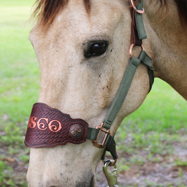 Custom Nylon Bronc Halter - Stronger Design Than Tab Style
