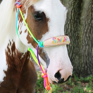 May include: A close-up of a brown and white horse wearing a colourful rope halter with a leather noseband that says "Scribbles".